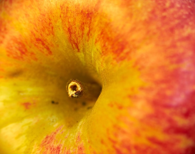 Pommes fraîches Des pommes fraîches une pomme par jour éloigne le médecin