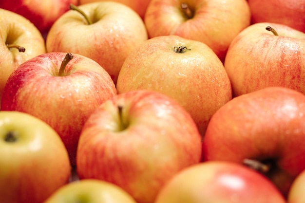 Pommes fruits. Plusieurs belles pommes rouges fraîches