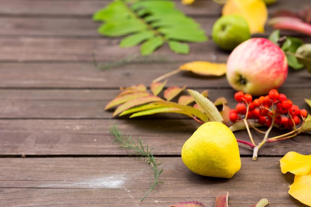 Pommes, fruits de Rowan, poires sur un fond en bois avec espace de copie