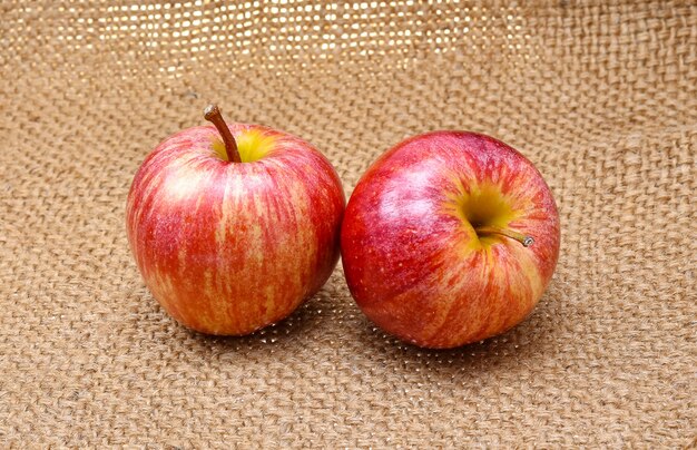 Pommes Gala isolées sur un sac marron