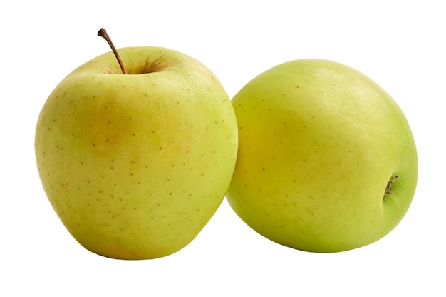 Les pommes Golden Delicious fraîches sont isolées sur fond blanc. Récolte cette année.