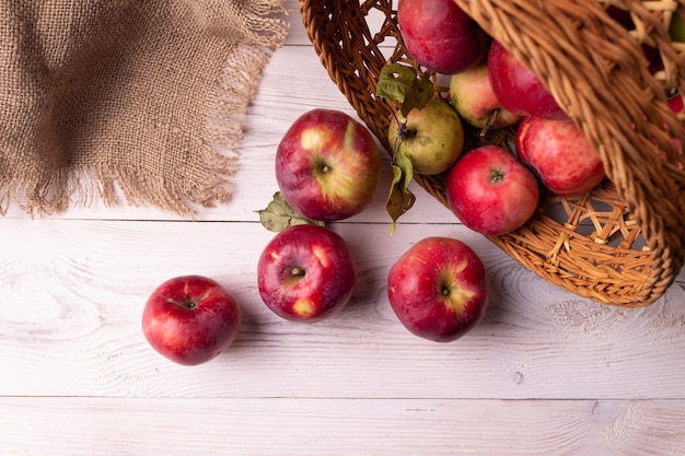 Pommes de jardin renversées d'une récolte d'automne de panier en osier