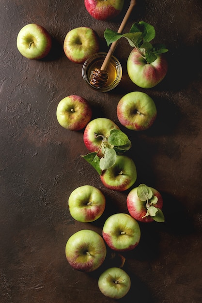 Pommes de jardinage mûres