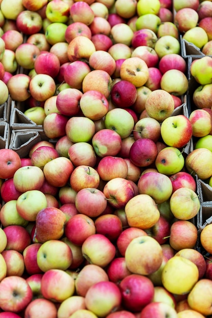 Pommes lumineuses juteuses sur le comptoir des vitamines et de l'alimentation saine Gros plan vertical
