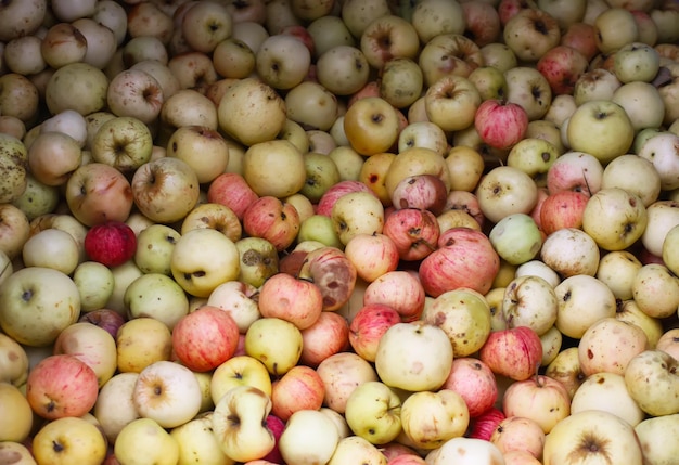 Pommes mûres fraîches rouges bouchent Fond de fruits