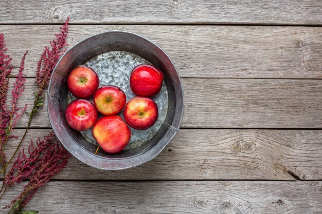 Pommes mûres rouges flottant dans l'eau propre dans un bassin métallique et herbes sèches sur vue de dessus en bois rustique