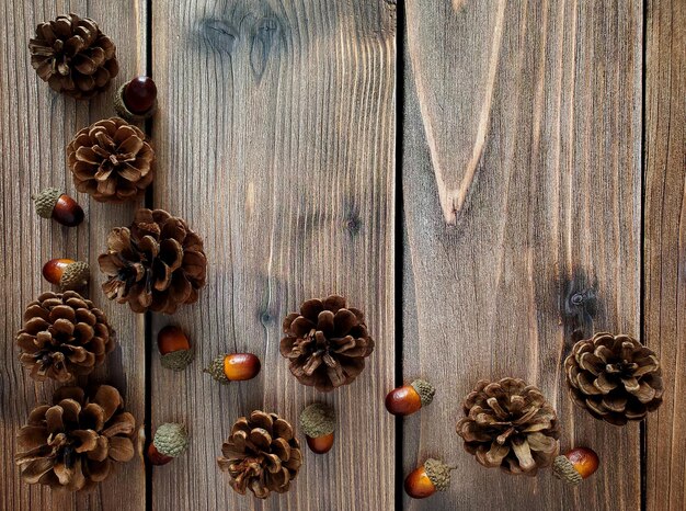 Pommes de pin et glands sur fond en bois, vue de dessus, disposition en coin.