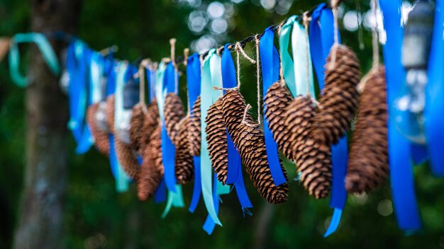 Pommes de pin et guirlandes bleues accrochées à l'extérieur