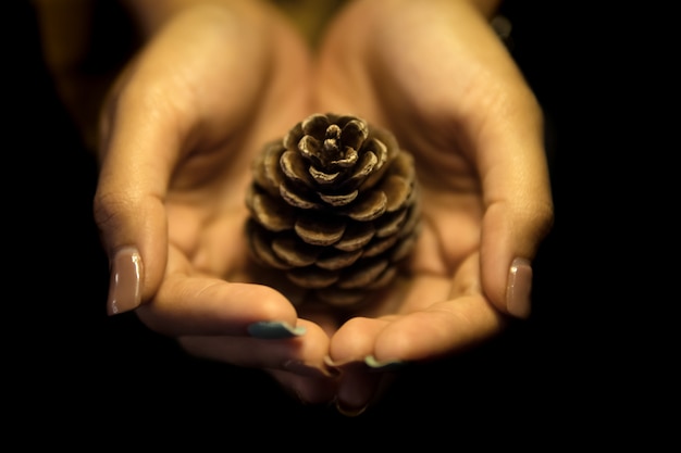 Pommes de pin placées dans les mains des femmes.