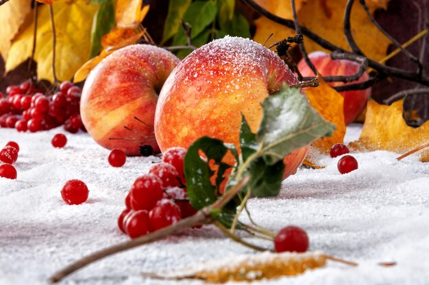 Pommes rayées saupoudrées de sucre en poudre. Le plat simule des pommes dans la neige