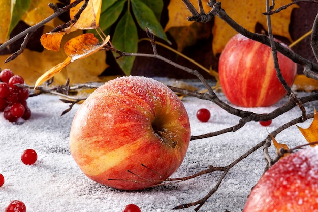 Pommes rayées saupoudrées de sucre en poudre. Le plat simule des pommes dans la neige