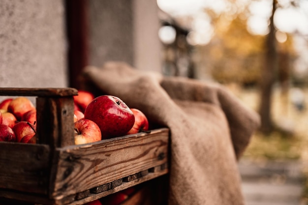 Pommes rouges bio mûres dans une boîte en bois Vue avec espace pour votre tex Fond nature