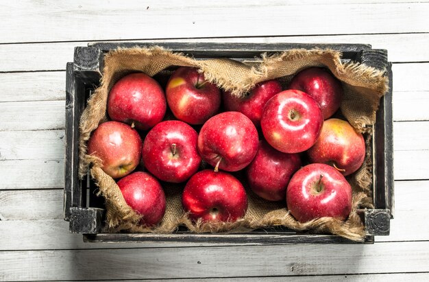 Pommes rouges dans une boîte.