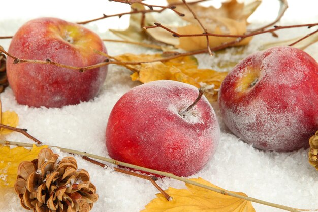 Pommes rouges dans la neige se bouchent