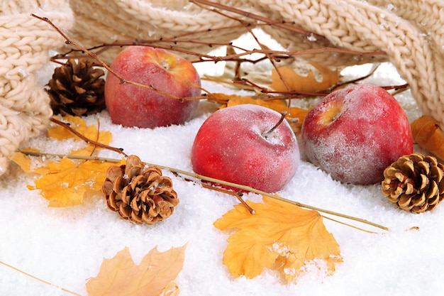 Pommes rouges dans la neige se bouchent