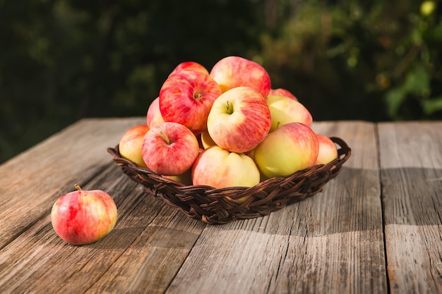 Pommes rouges dans un vase en osier sur une vieille table en bois sur fond de jardin.