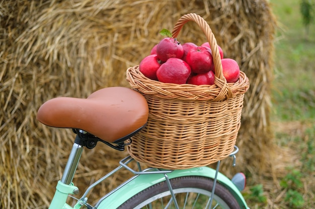 Pommes rouges fraîches dans un panier en osier sur le tronc d'un vélo vintage