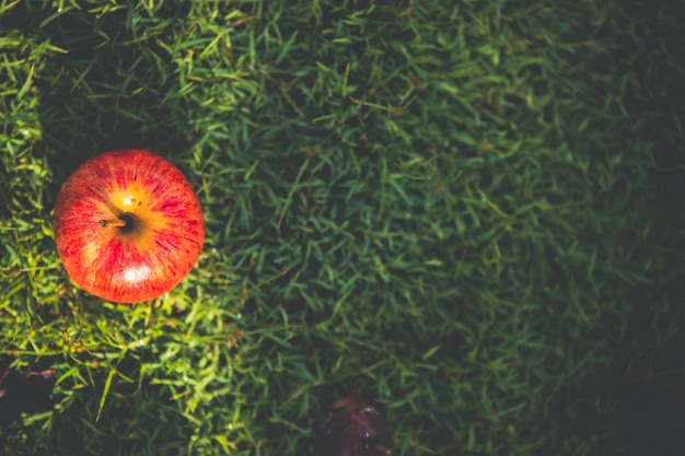 Pommes rouges sur l'herbe Alimentation saine pour notre vie fruits frais