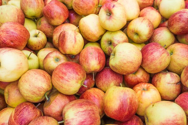 Pommes rouges et jaunes fraîches Groupe de pommes