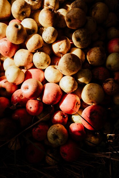 Photo pommes rouges et jaunes