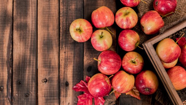 Pommes rouges mûres biologiques dans une boîte en bois. Corne d'abondance de récolte d'automne en saison d'automne. Fruits frais avec fond de table en bois.