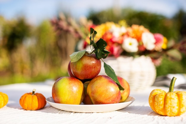 Les pommes rouges sont sur la table dans une assiette près de petites citrouilles