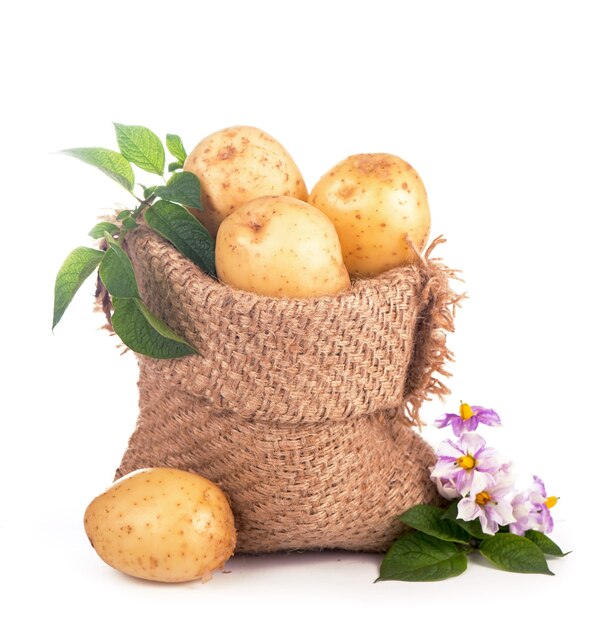 Pommes de terre crues dans un sac de jute isolé sur une surface blanche