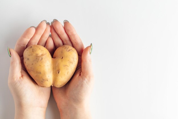 Des pommes de terre en forme de cœur dans les mains sur fond blanc concept de la Saint-Valentin