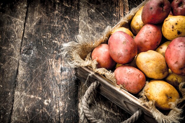 Photo pommes de terre fraîches dans un vieux plateau. sur un fond en bois.