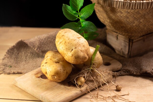 Pommes de terre fraîches avec feuille sur bois sur fond noir