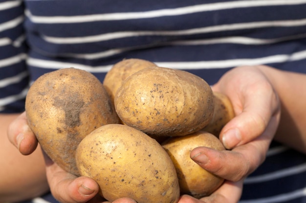 Pommes de terre à la main