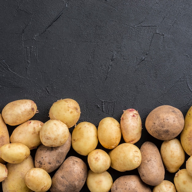 Photo pommes de terre naturelles copiées