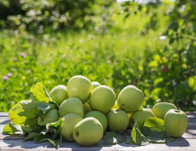 Pommes vertes sur bois extérieur