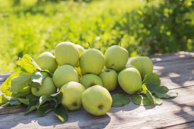 Pommes vertes sur extérieur en bois