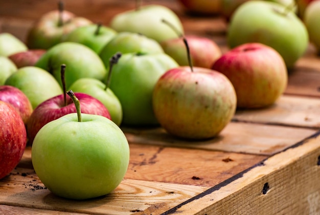 Pommes vertes et rouges sur le marché