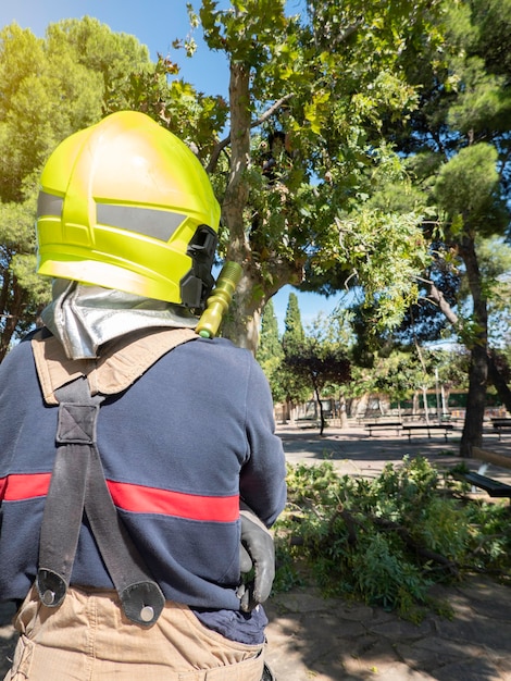 Pompier avec casque regarde les arbres