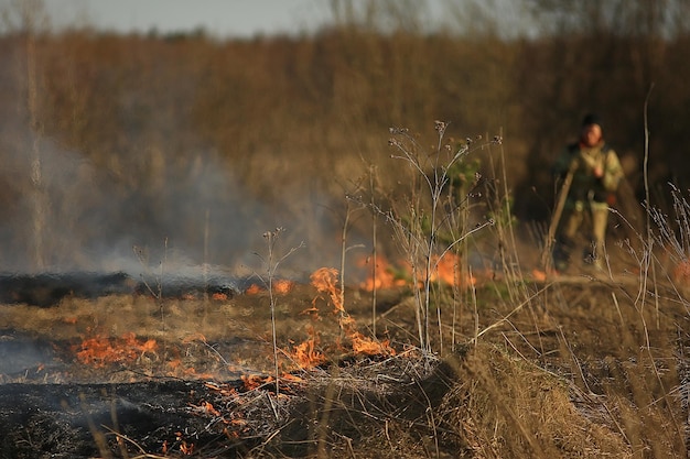 le pompier éteint l'herbe / feu de forêt, l'herbe sèche brûle, le vent souffle