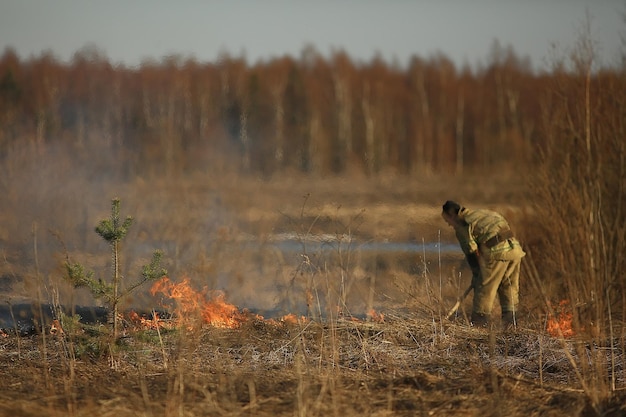 le pompier éteint l'herbe / feu de forêt, l'herbe sèche brûle, le vent souffle