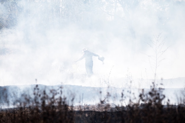 pompier travaillant avec un feu de forêt