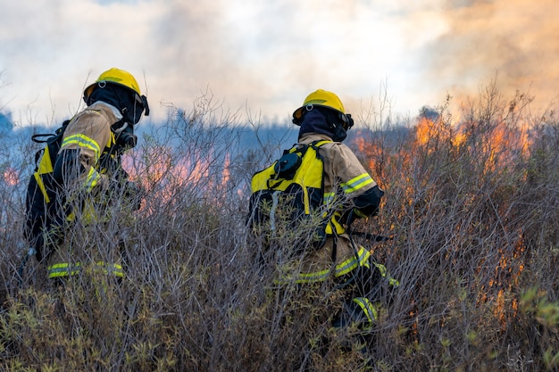 Photo les pompiers éteignent un incendie dans la forêt
