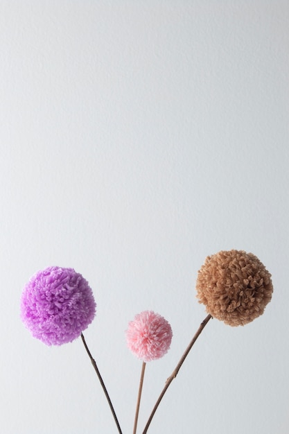 Pompons Colorés Avec Fond Blanc