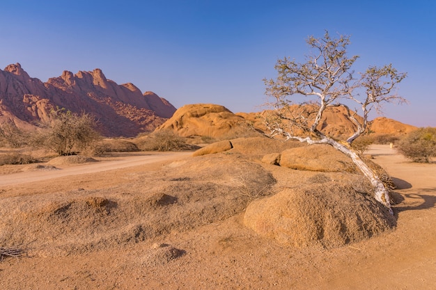 Les Pondoks près de la montagne Spitzkoppe en Namibie.