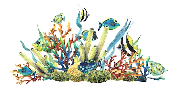 Éponges de mer coraux algues et poissons tropicaux brillants Illustration à l'aquarelle Composition de la collection de POISSONS TROPICAUX Pour la décoration et la conception de décor d'impressions d'été et de plage