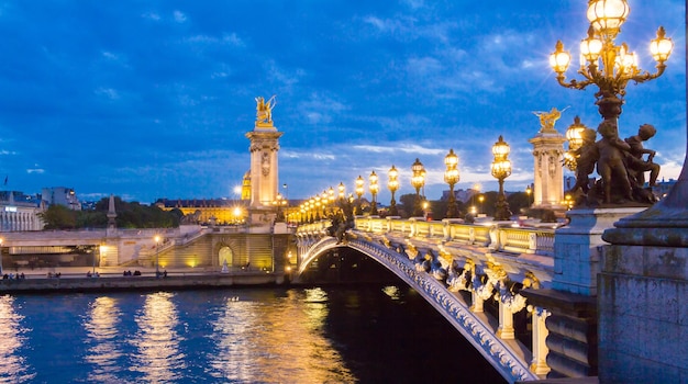 Le pont Alexandre III la nuit Paris France