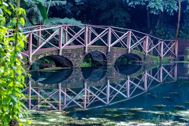 Pont en arc sur un lac avec réflexion Tanzanie Afrique Passerelle au-dessus d'un étang