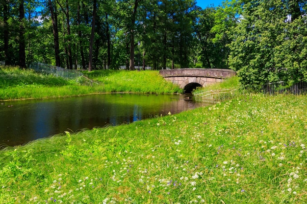 Pont en arc de pierre sur une petite rivière dans le parc Catherine à Pouchkine Tsarskoïe Selo Russie