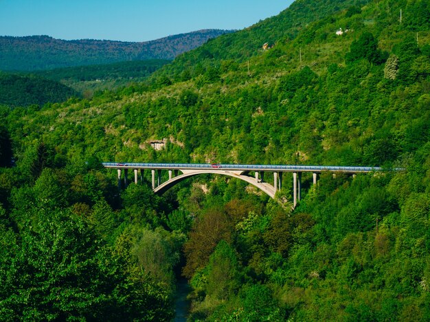 Pont en arc de voiture dans la forêt dans les montagnes