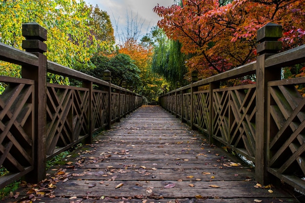 Le pont au milieu des arbres en automne contre le ciel