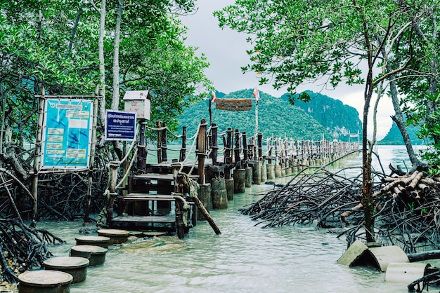 Pont en bois atTalet Bay à Khanom, Nakhon Sri Thammarat voyage touristique monument en Thaïlande