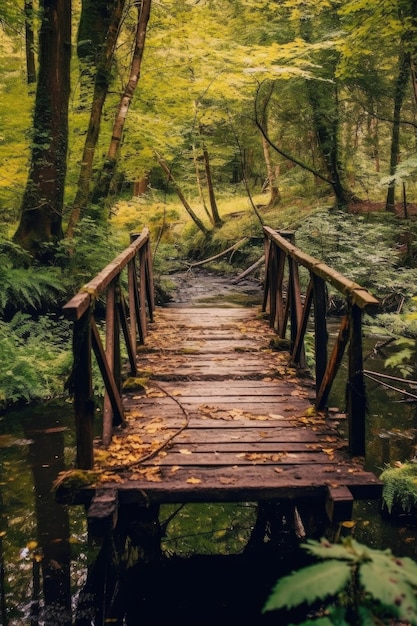 Pont en bois au-dessus d'un ruisseau paisible dans les bois